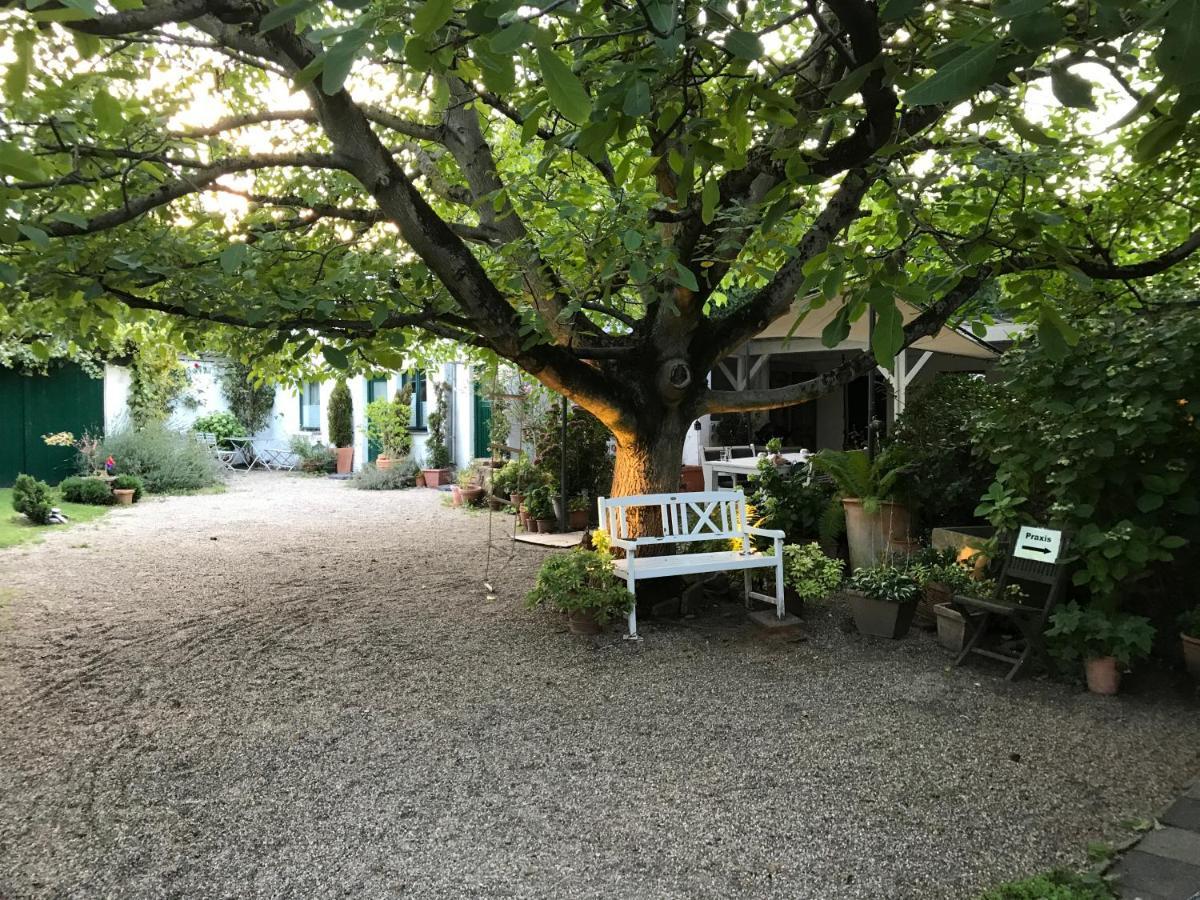 Ferien- Und Messewohnung In Meerbusch Exterior photo